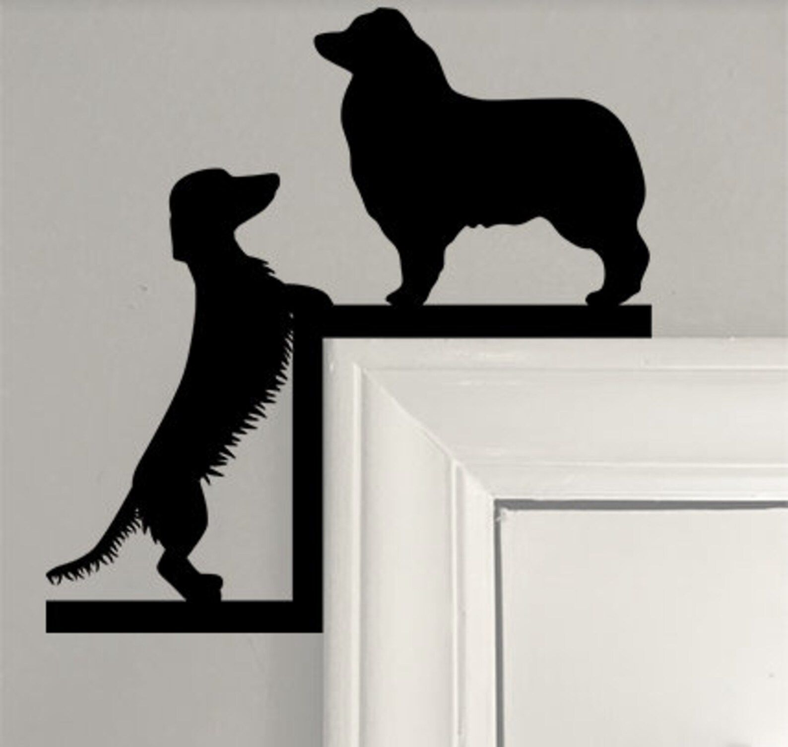 Australian Shepherd & Long Hair Wiener Dog Corner