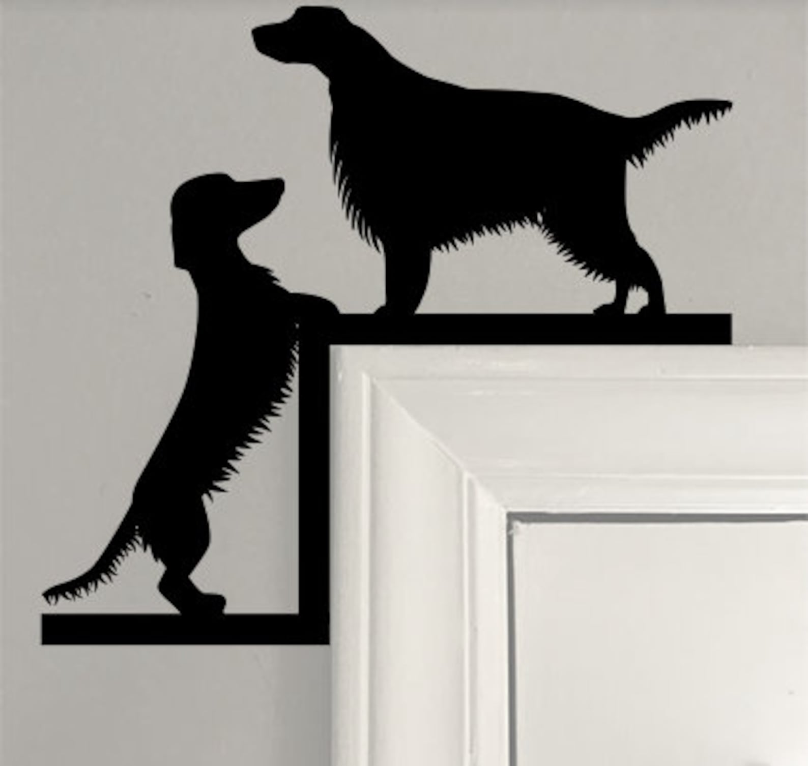 Irish Setter & Long Hair Wiener Dog Corner